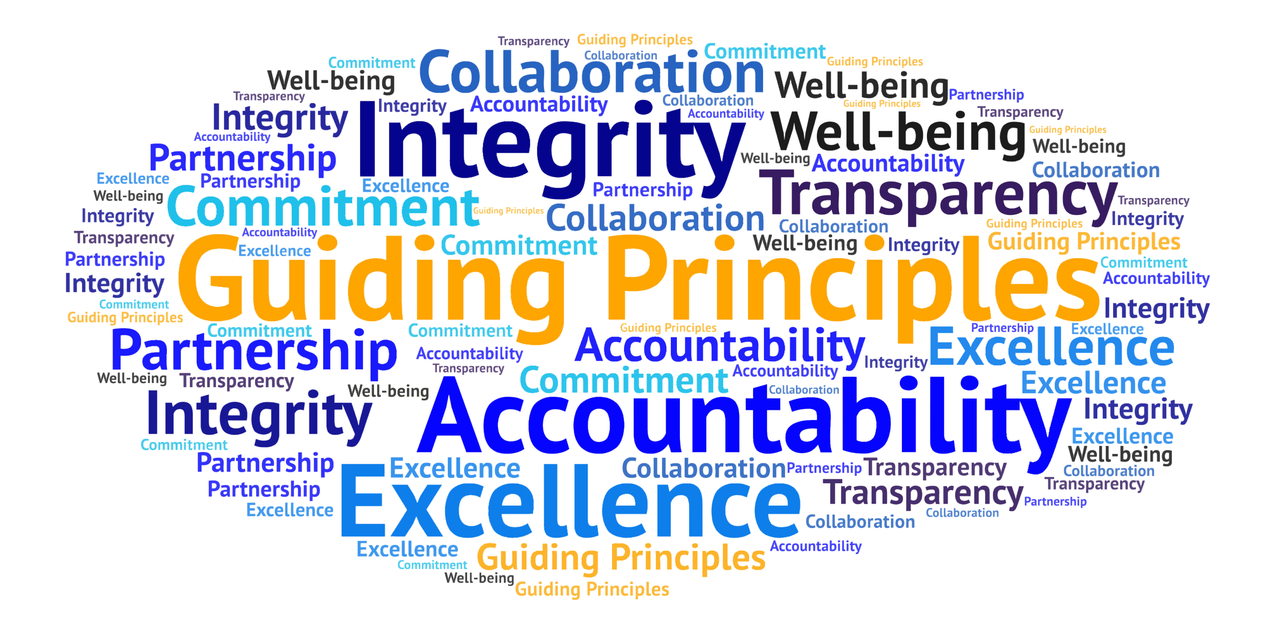 GuidingPrinciples