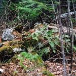 Pants Lake Gravesite 1